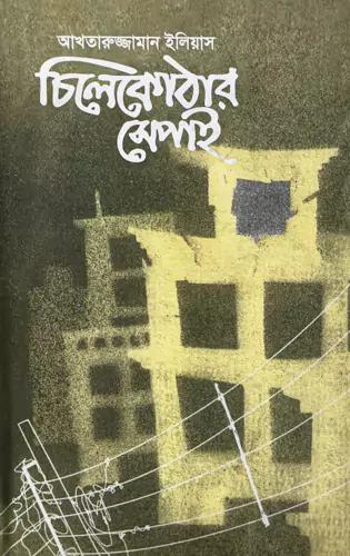 চিলেকোঠার সেপাই
