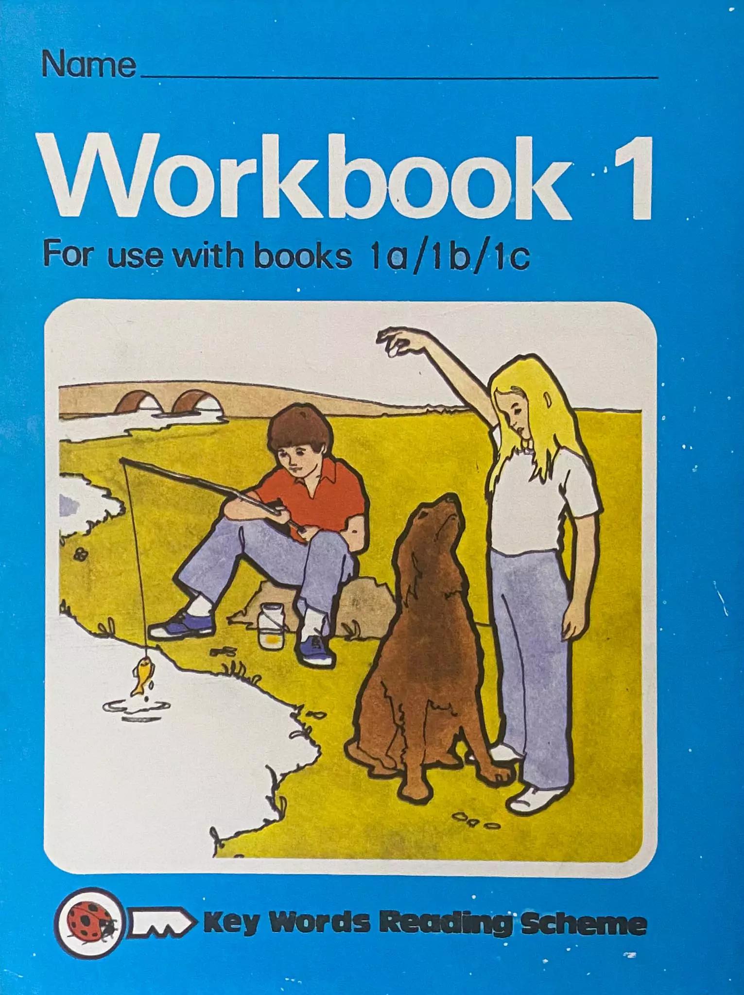 Ladybird Workbook 1 A