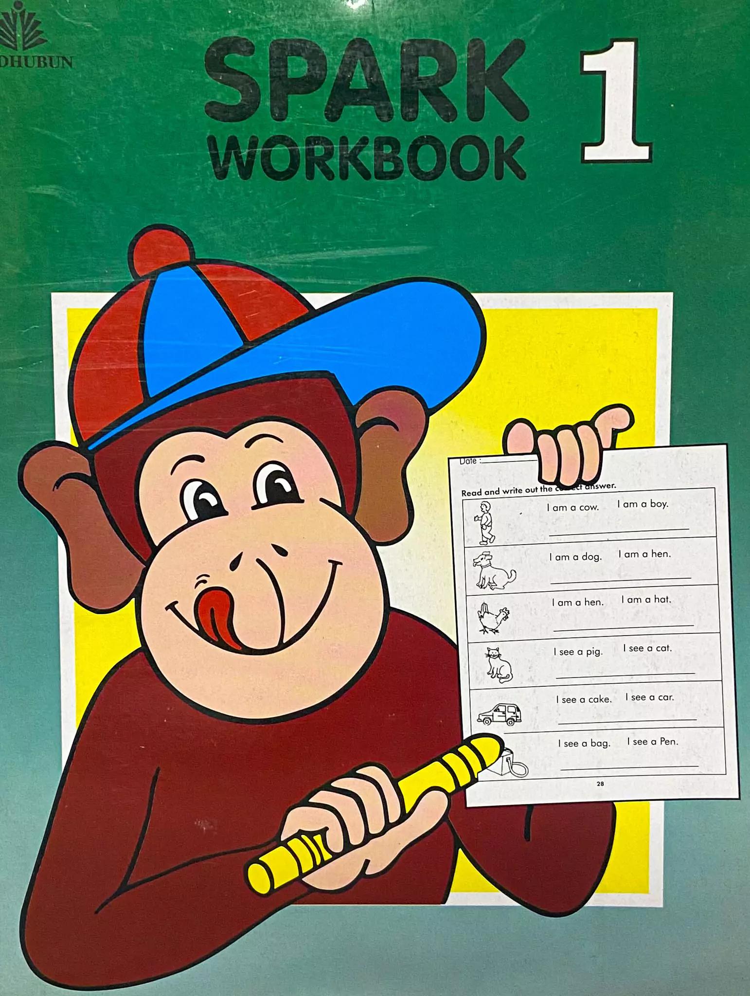 Spark Workbook 1