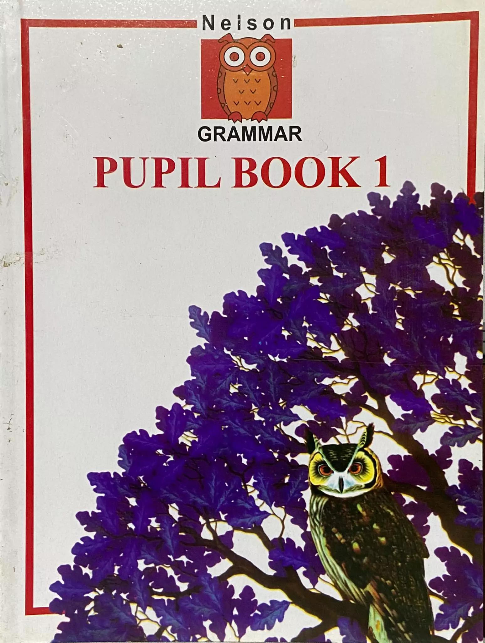 Nelson Grammar Pupil Book 1
